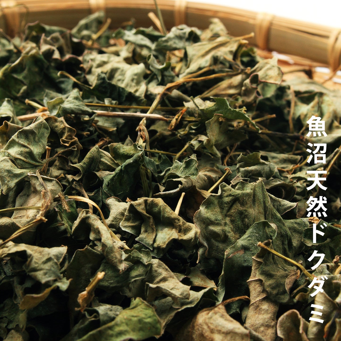 ドクダミ茶 × 1パック(1g×15包入り)