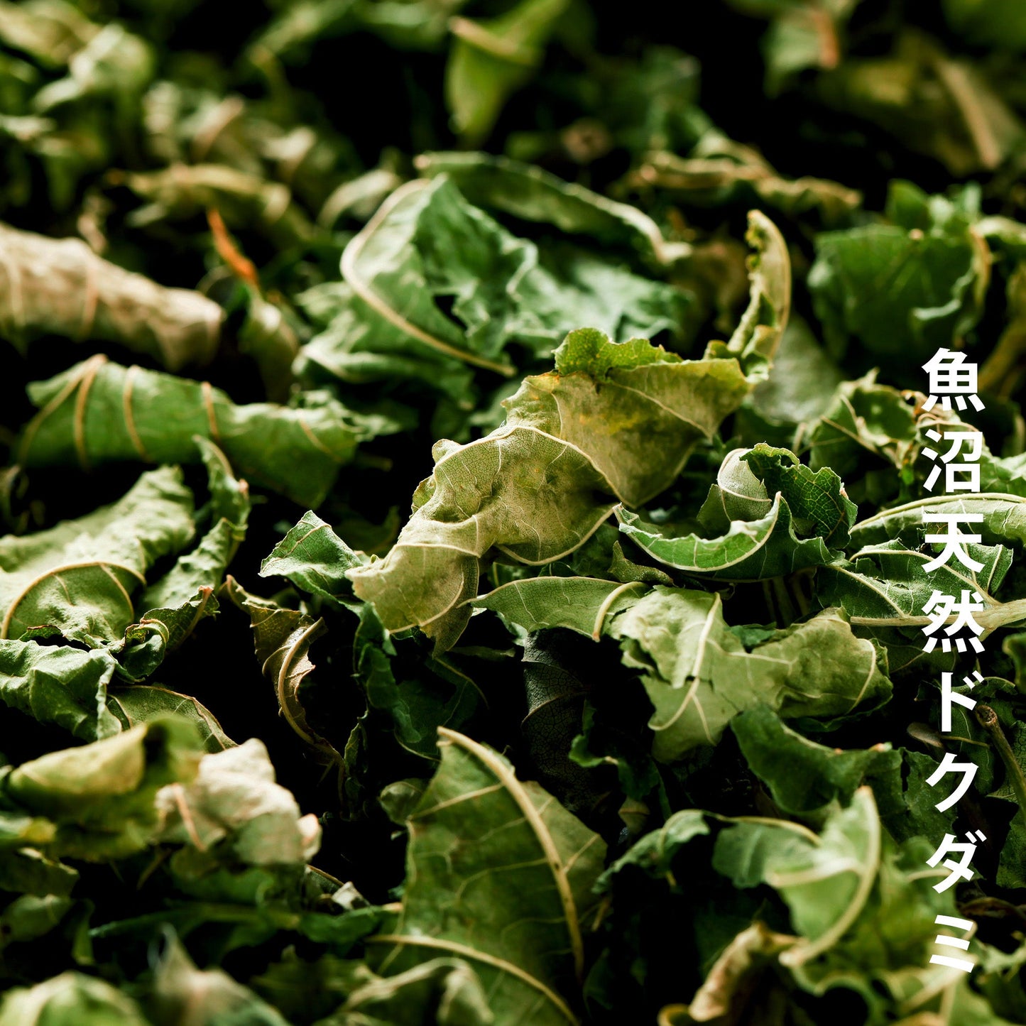 桑の葉茶 × 1パック(2包入り)