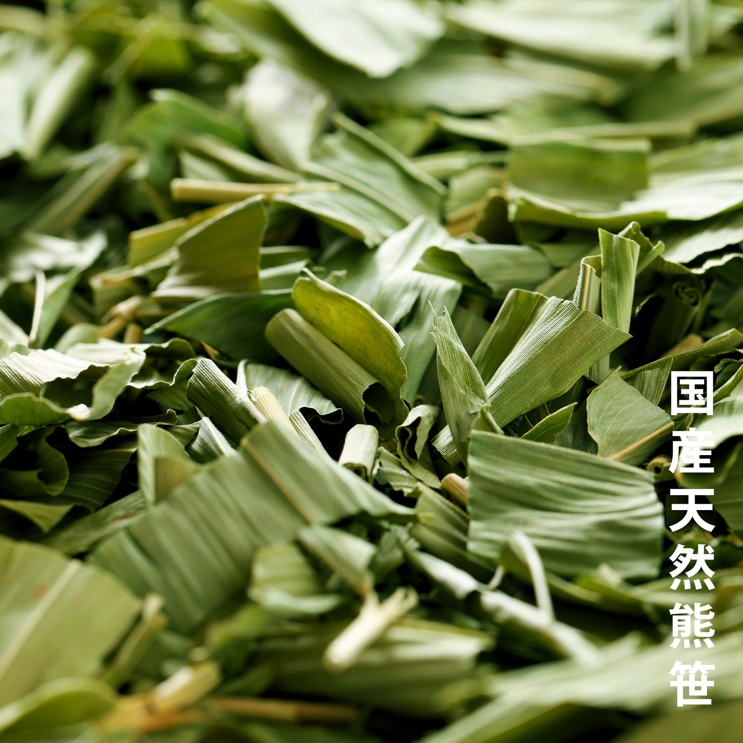 笹団子茶×1パック(15包入り)