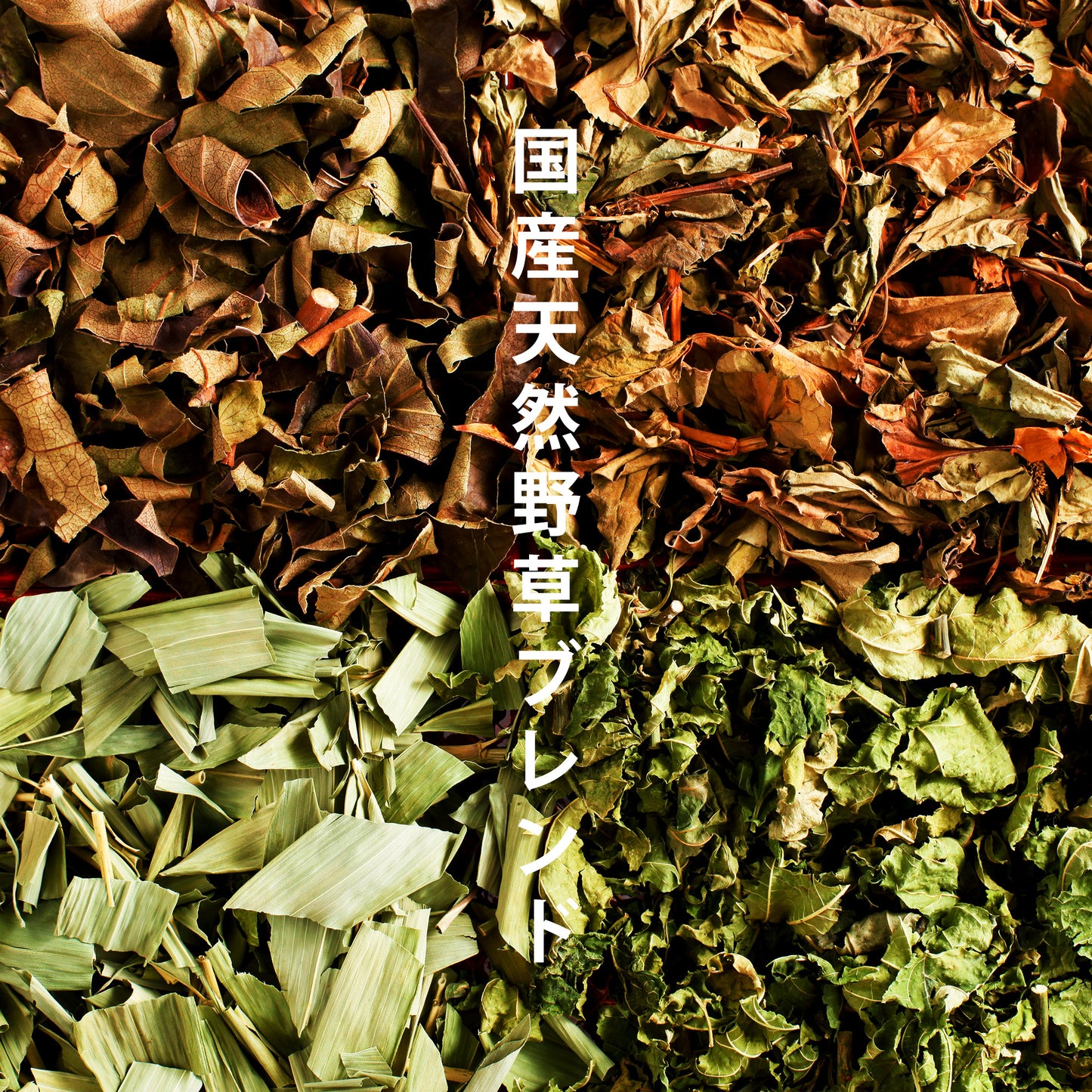 山の茶ブレンド × 1パック(1g×15包入り)